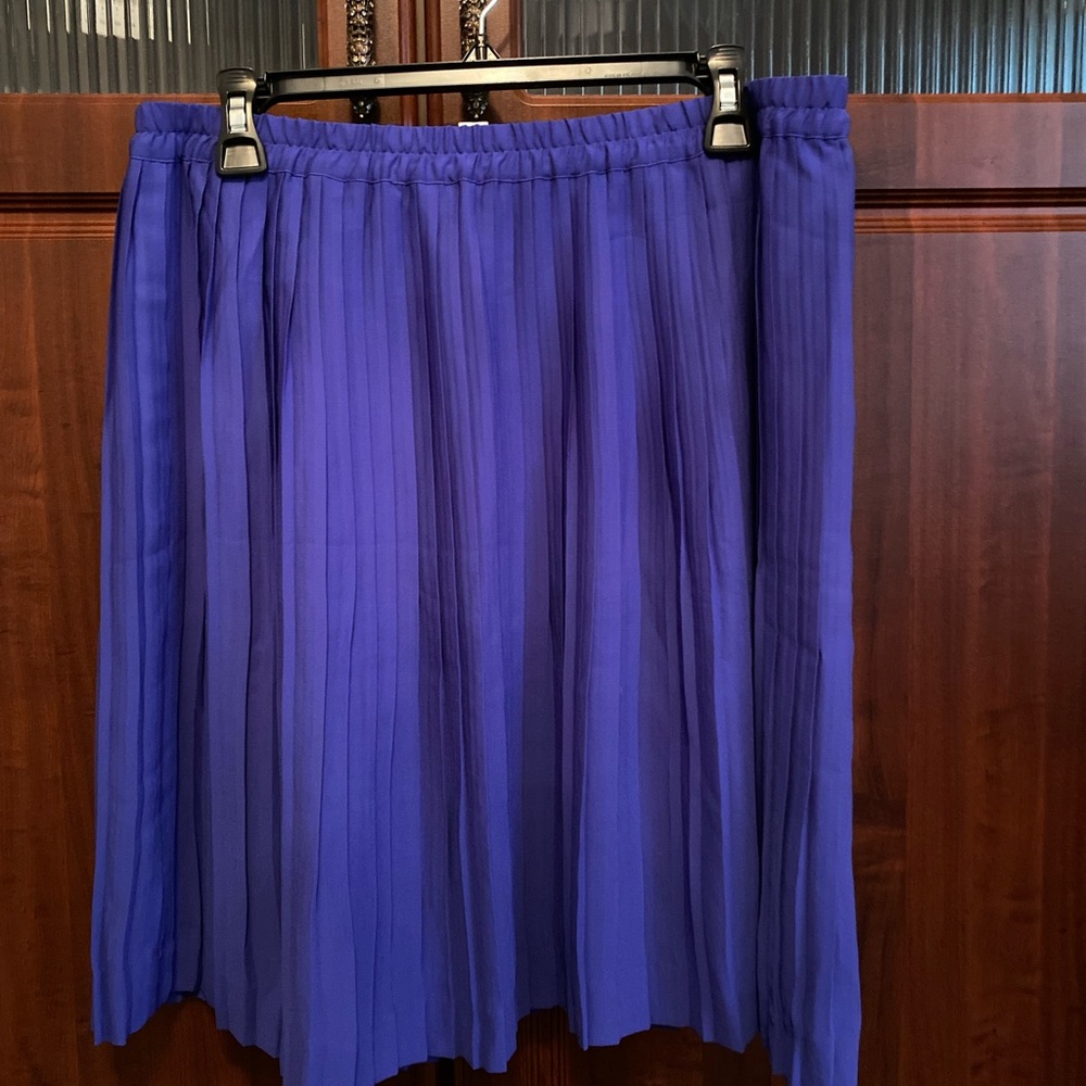 NWT Banana Republic Cobalt Blue Accordion Skirt